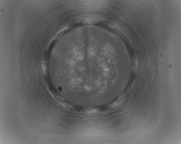 X0000074040456200609111743