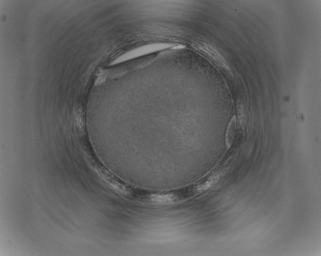 X0000074040457200609111743