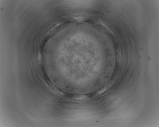 X0000074040459200609111743