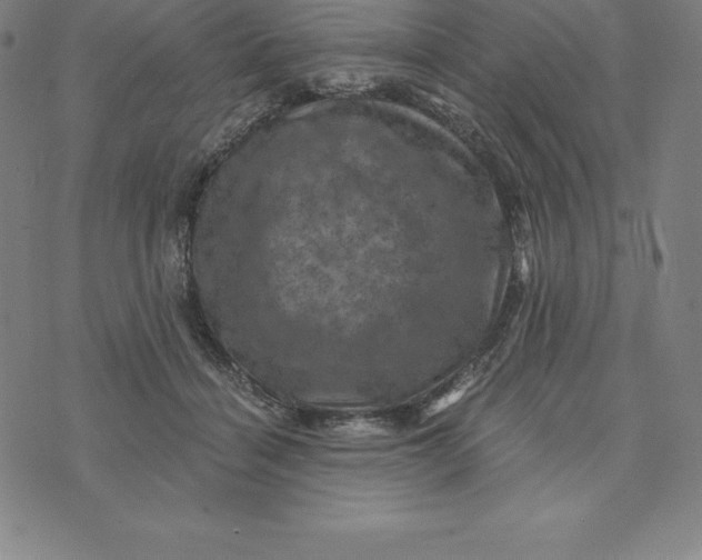 X0000074040460200609111743