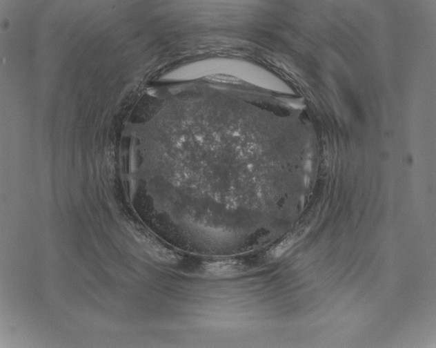 X0000074040461200609111743