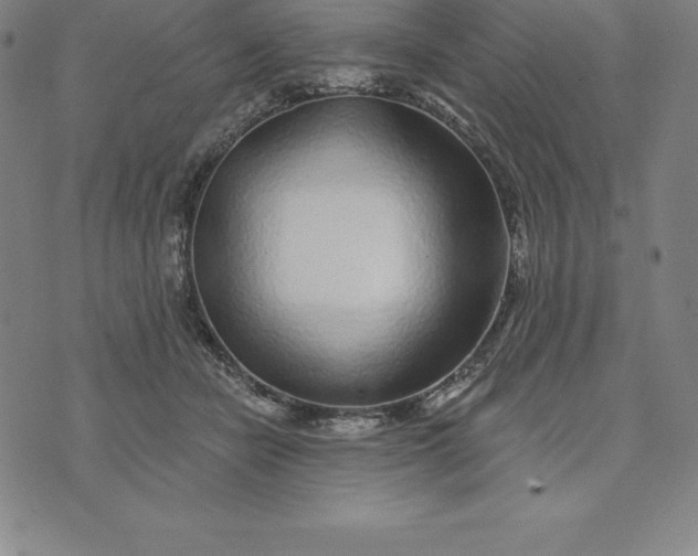 X0000074040462200609111743