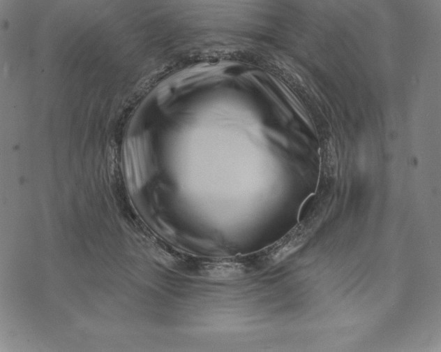 X0000074040463200609111743