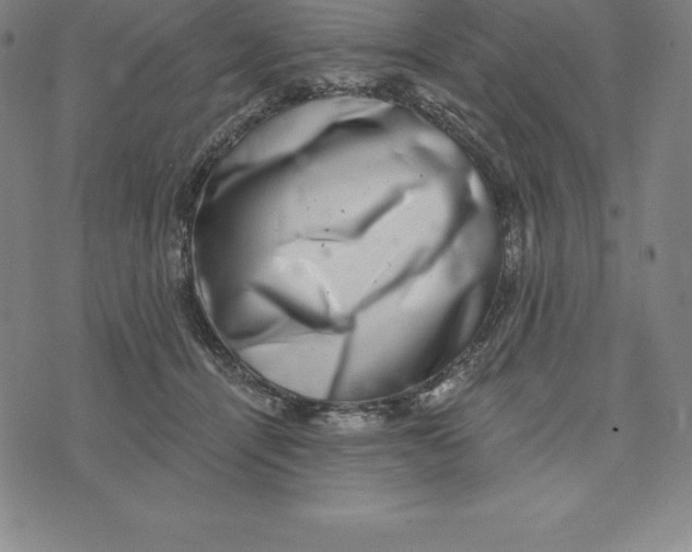 X0000074040464200609111743