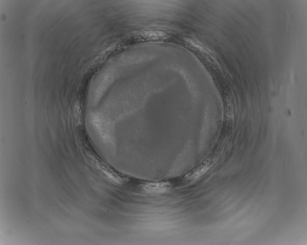 X0000074040465200609111743