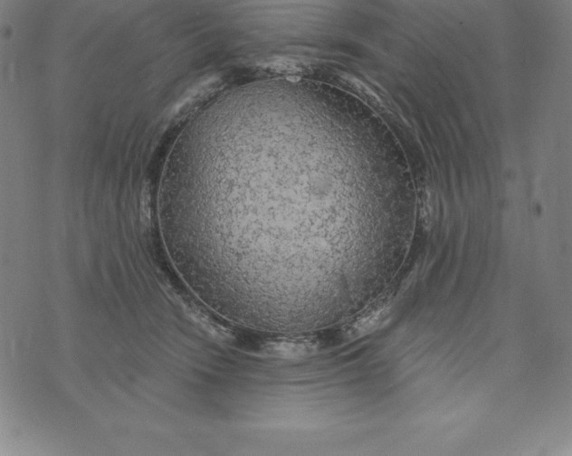 X0000074040466200609111743