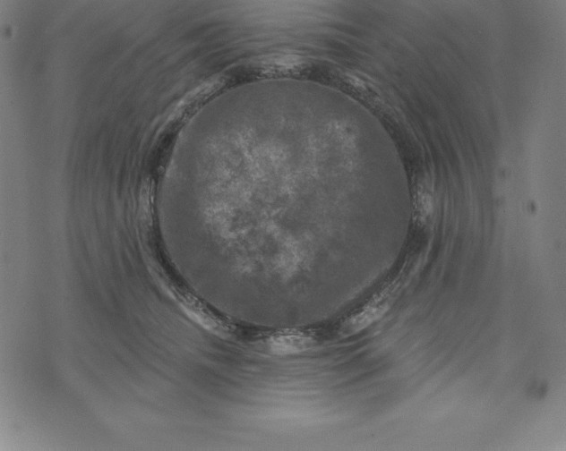 X0000074040468200609111743