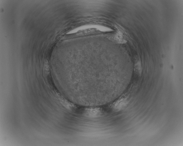 X0000074040469200609111743