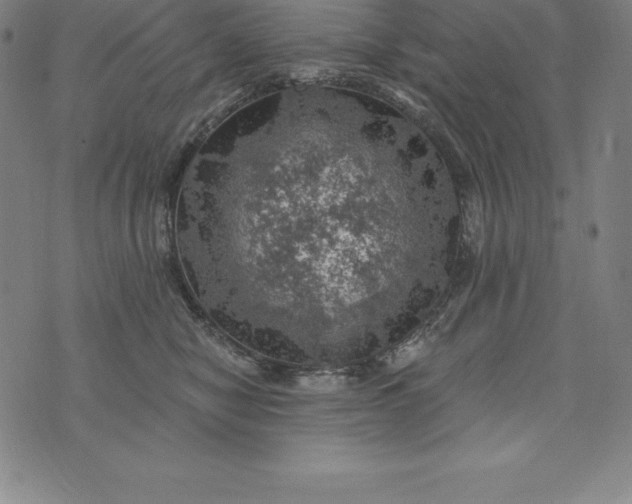 X0000074040470200609111743