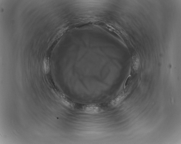 X0000074040471200609111743