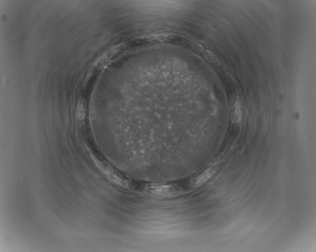 X0000074040472200609111743