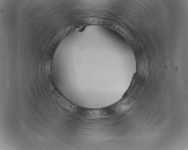 X0000074040473200609111743