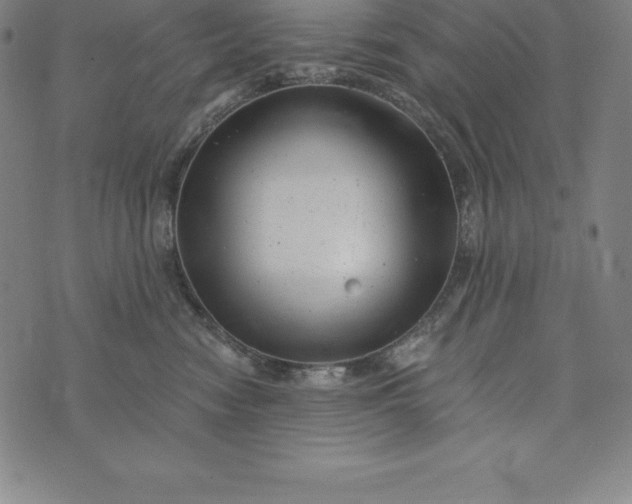 X0000074040474200609111743