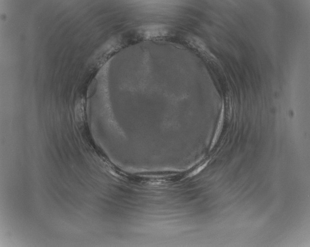 X0000074040475200609111743