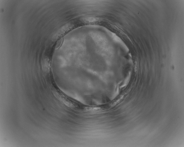 X0000074040476200609111743