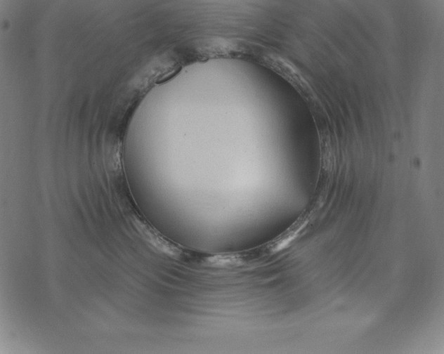 X0000074040477200609111743