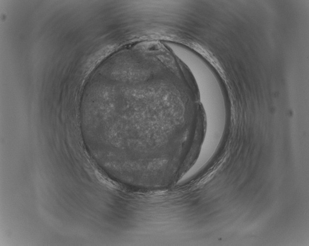 X0000074040481200609111743