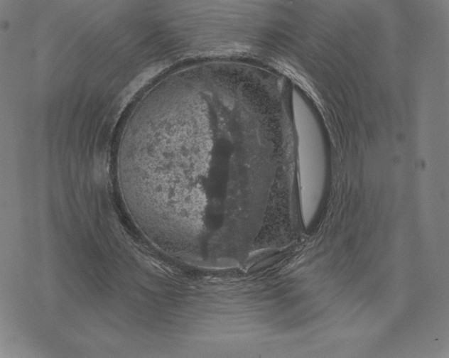 X0000074040483200609111743