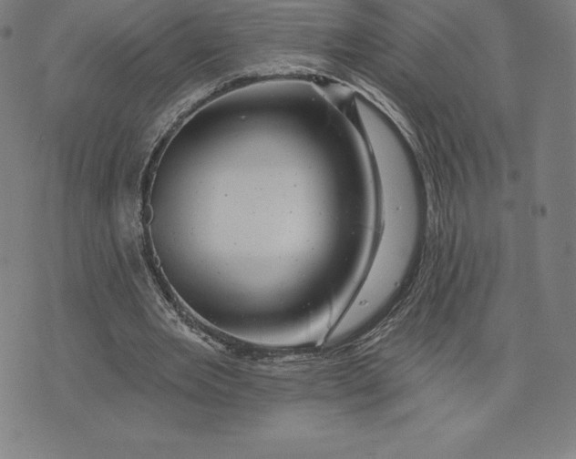 X0000074040485200609111743