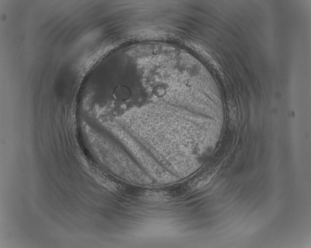 X0000074040487200609111743