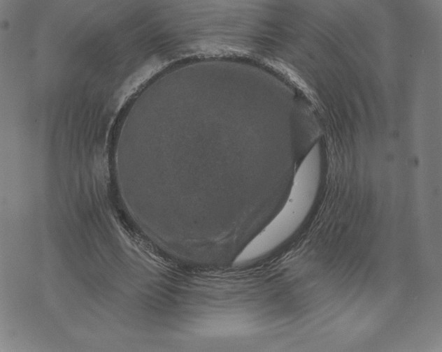 X0000074040488200609111743