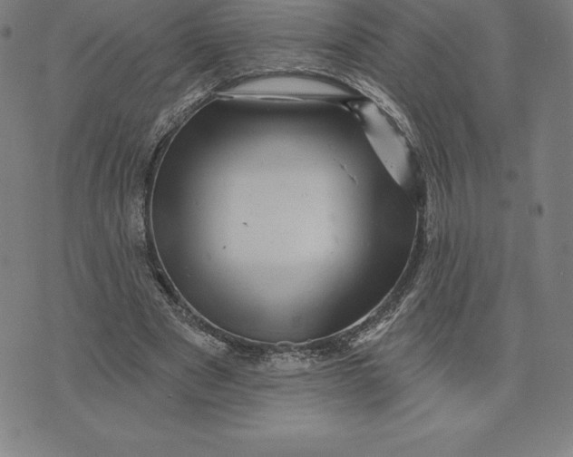 X0000074040489200609111743