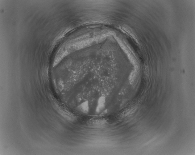 X0000074040491200609111743