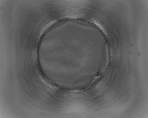 X0000074040492200609111743