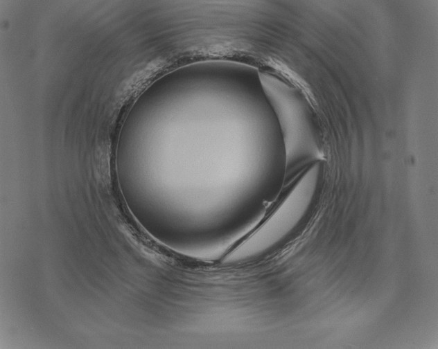 X0000074040493200609111743