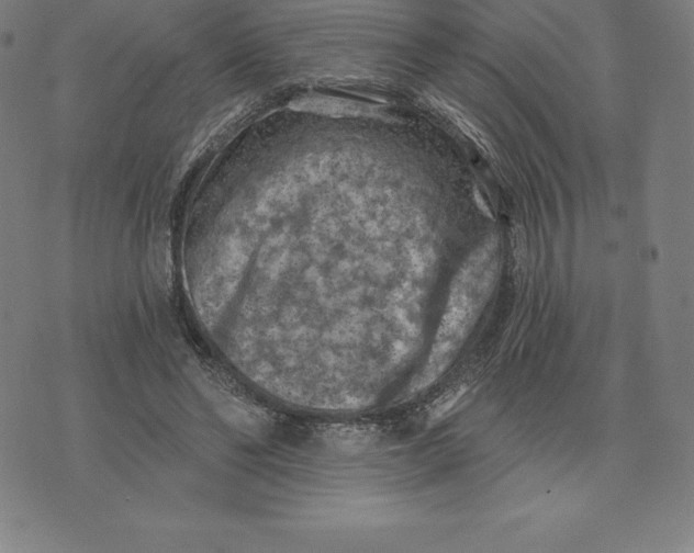 X0000074040494200609111743