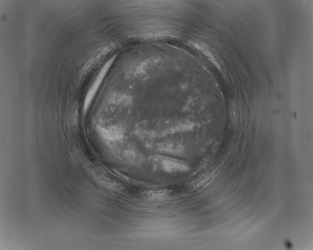 X0000074040495200609111743