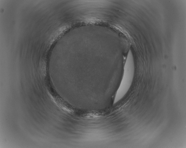 X0000074040496200609111742