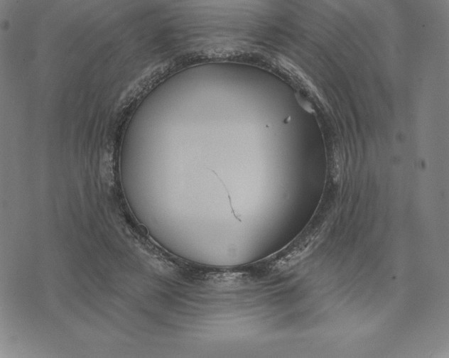 X0000074040497200609111742