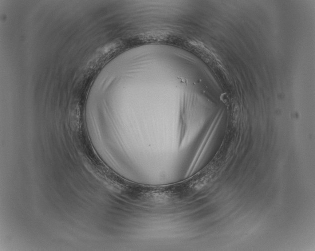 X0000074040498200609111742