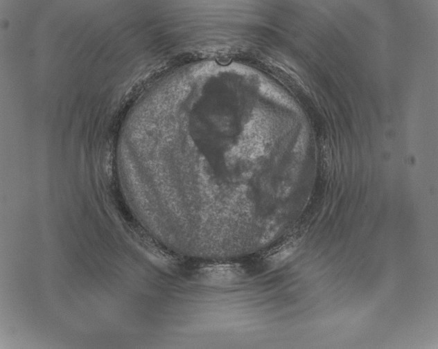 X0000074040499200609111742