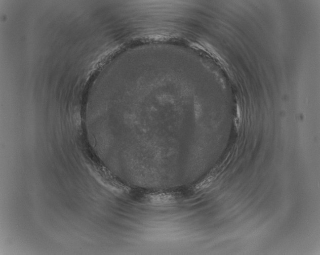 X0000074040500200609111742