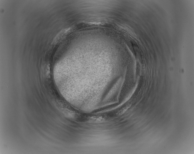 X0000074040502200609111742