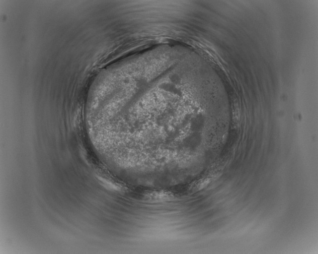 X0000074040503200609111742