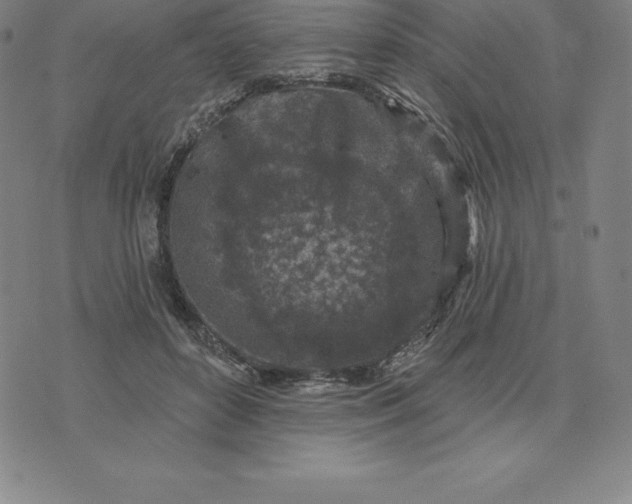 X0000074040504200609111742