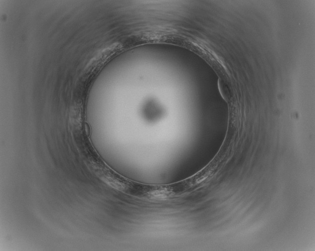 X0000074040505200609111742