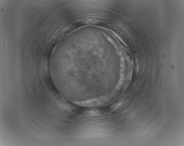 X0000074040506200609111742