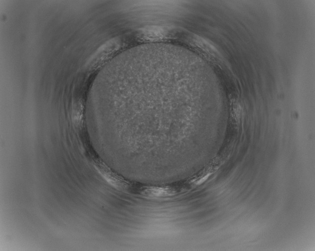 X0000074040507200609111742