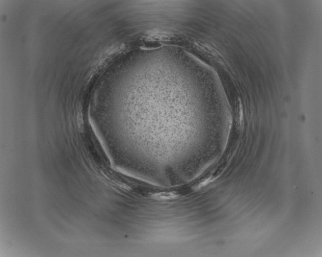 X0000074040508200609111742