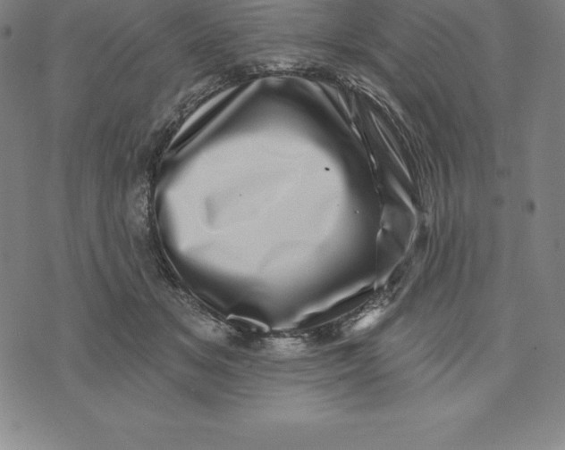 X0000074040509200609111742