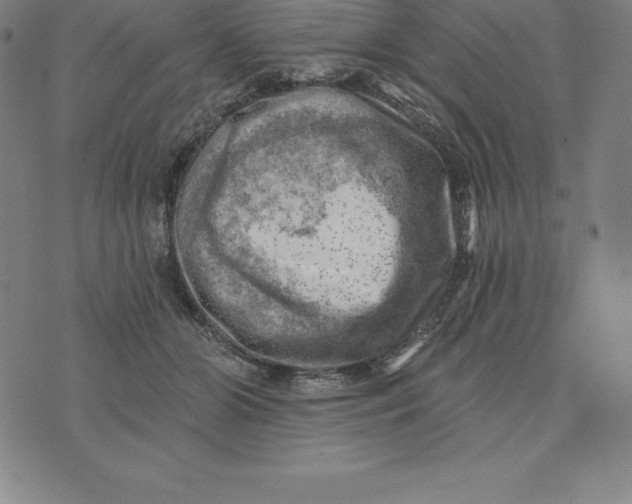 X0000074040510200609111742