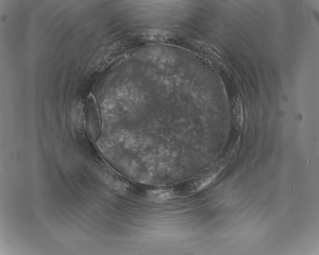 X0000074040511200609111742