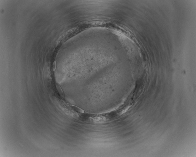 X0000074040512200609111742