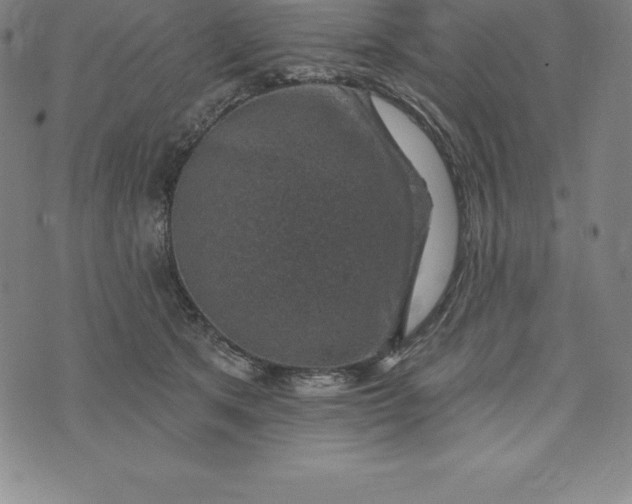 X0000074040513200609111742