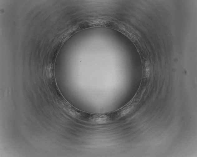 X0000074040514200609111742