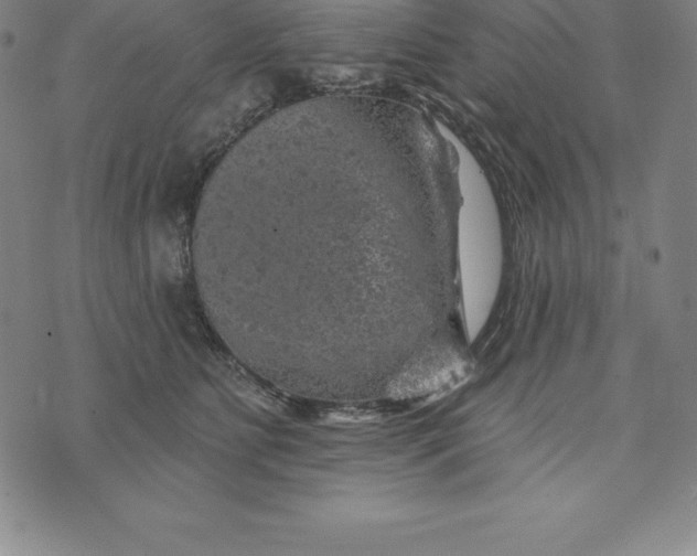 X0000074040515200609111742